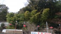 DSC01072.JPG